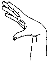 B^ handshape illustrated